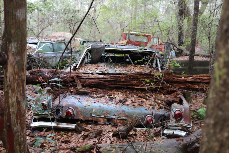 Illustration for article titled GHOST CARS ROTTING IN THE MISSISSIPPI SWAMP